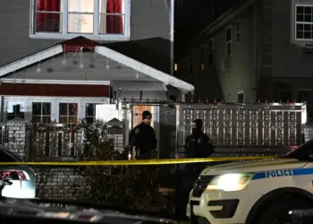 Queens Mother Charged: Death of Charlie Ramraykha, Filicide & Mental Health