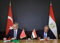 Fidan Calls Egypt, Saudi FMs as Gaza Plan Stalls