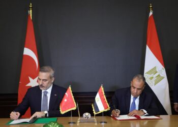 Fidan Calls Egypt, Saudi FMs as Gaza Plan Stalls